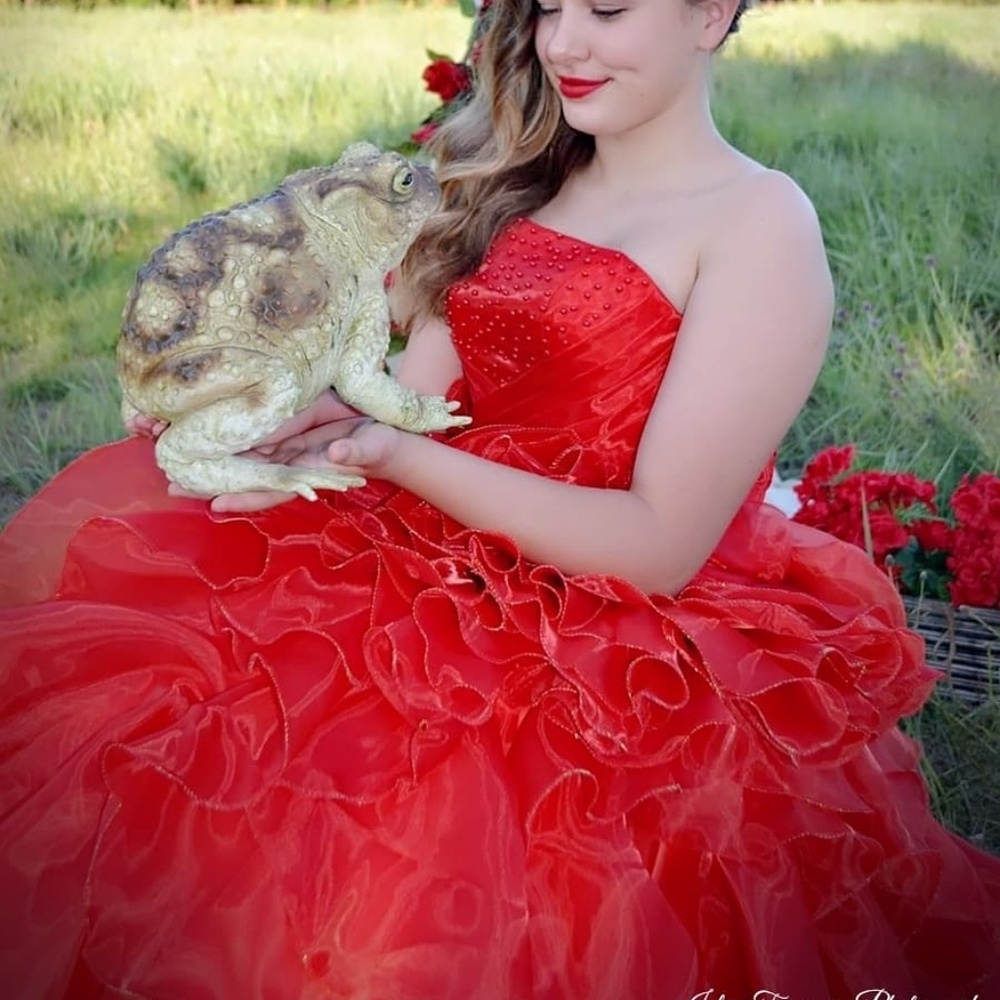 Custom made gown